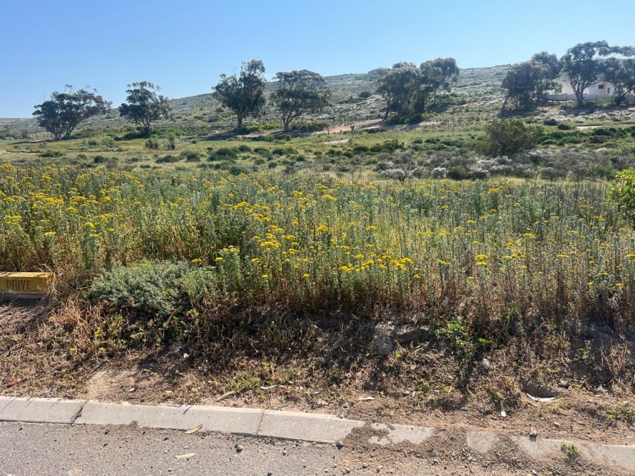 Commercial Property for Sale in St Helena Views Western Cape